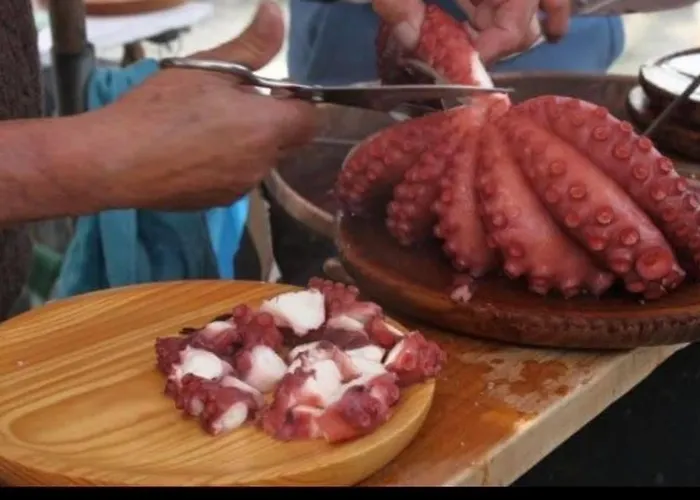 Piso Centro Санхенхо