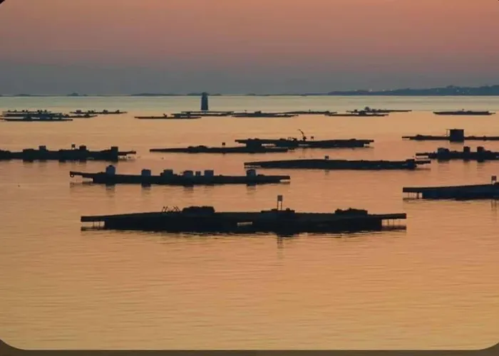 Piso Centro * Санхенхо